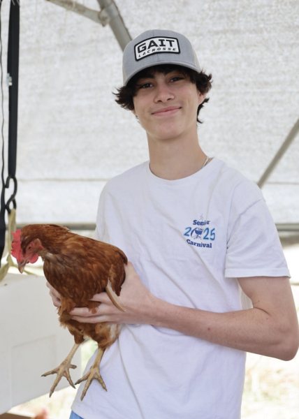 Spotlight: Eco Day Workshops